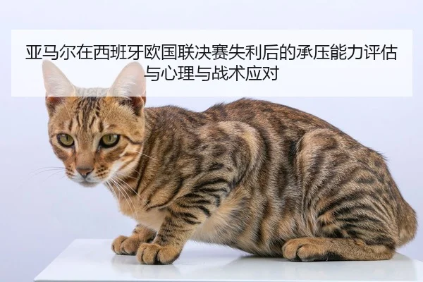 亚马尔在西班牙欧国联决赛失利后的承压能力评估与心理与战术应对